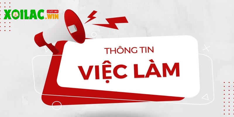 Tuyển dụng tại Xoilac.win mang đến nhiều phúc lợi hấp dẫn