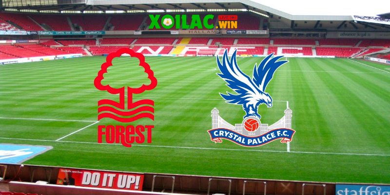 Nottingham Forest vs Crystal Palace - Soi kèo 02h00 22/10/2024